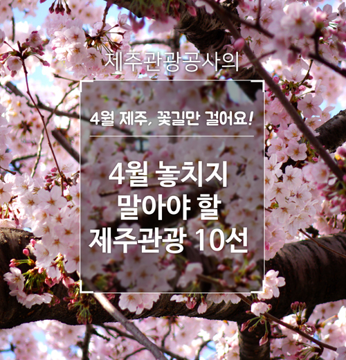 제주관광공사, 4월 제주 가볼만한 곳 10선