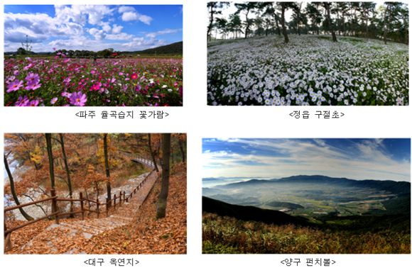 생태자원+관광콘텐츠+이야기…생태테마 관광 육성