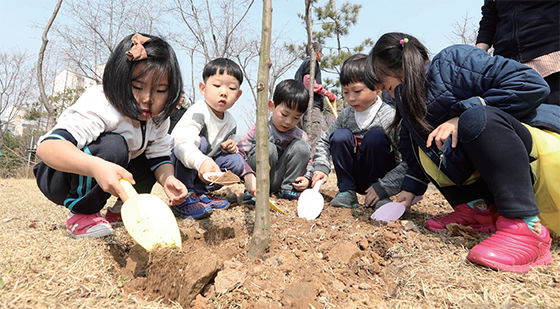 파고, 밟고, 덮으면 끝! 나무 심기 초보도 쉽게