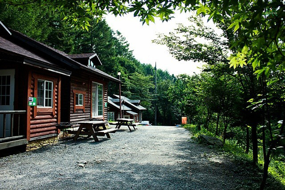 산림청 개청 50주년, 50회 ‘숲속 음악회’ 연다