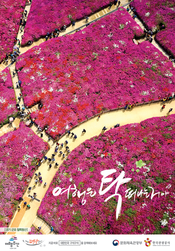 봄 여행 탁 떠나자…1만5224곳 할인 혜택