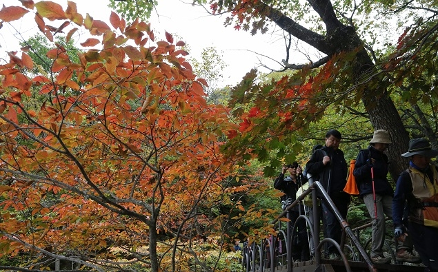 가을 제대로 즐기려면 산으로 가라! 온 가족 즐길 가벼운 등산 코스는 어디?