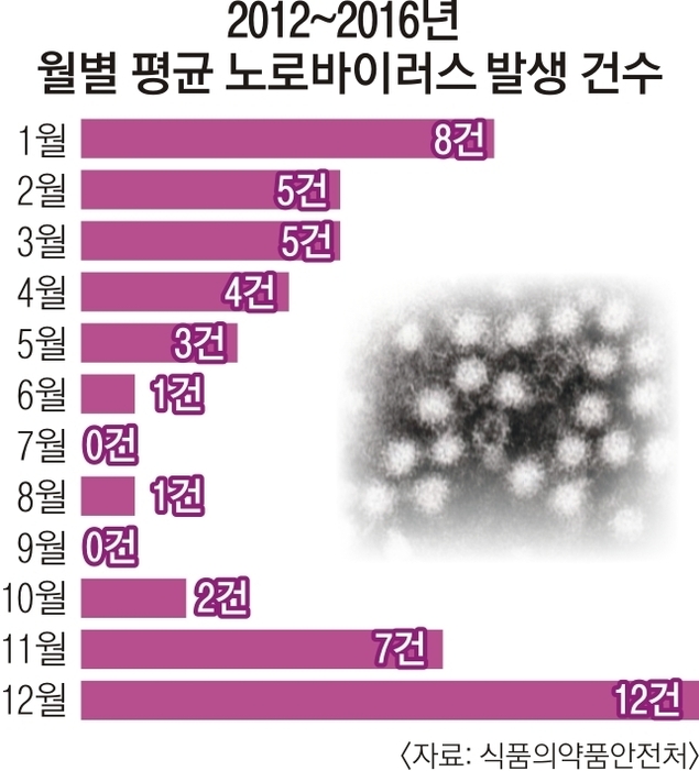 "찬바람 불면 노로바이러스 주의"…식약처 위생수칙 당부