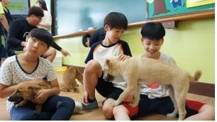 농촌진흥청 “반려동물과 교감할수록 아이 정서 안정된다”