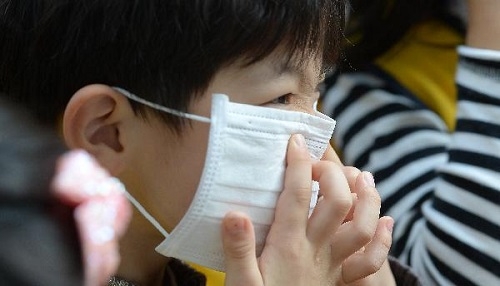 미세먼지 대응…서울 시내 모든 학교에 체육관 확충