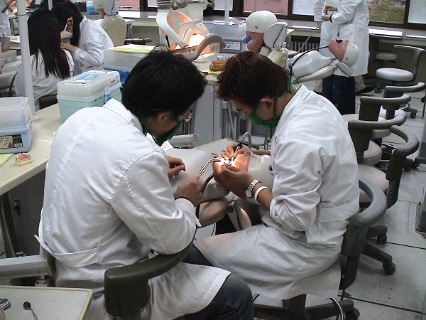 영재학교 입학, 의대 진학의 필수 요소?
