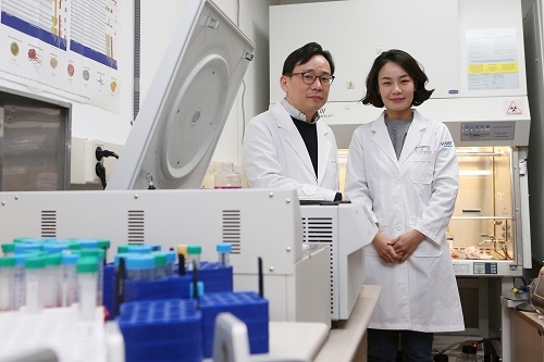 KAIST, 바이러스 간염 악화시키는 세포의 원리 규명