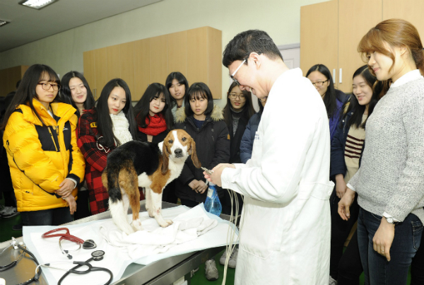 수의대 입시 경쟁률 고공행진…최근 5년 중 올해 최고 기록