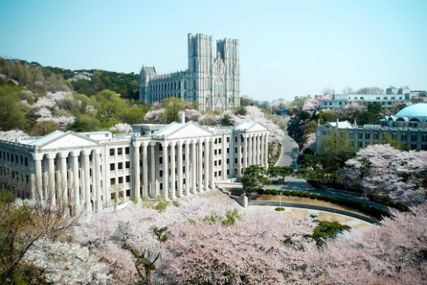 유명 아이돌, 경희대 박사과정 면접 ‘0점’으로 합격
