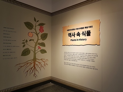 이화여대 자연사박물관, ‘역사 속 식물’ 특별기획전 개최