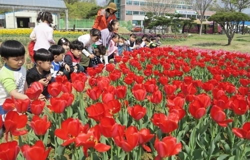 울긋불긋 꽃대궐…봄꽃 만개한 옥천 농심테마공원