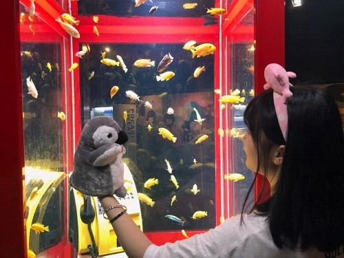 코엑스 아쿠아리움, 6월 30일(토)까지 ‘나 혼자 아쿠아리움’ 진행