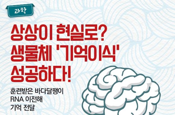 ‘천재의 기억을 내 머릿속에 집어넣을 수 있다면?’