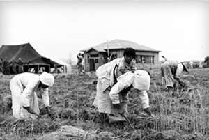 미군이 1953년 6월16일 촬영한 판문점 사진. 농사일에 한창인 아낙의 등에 업힌 아기 뒤로 보이는 건물이 휴전회담이 이루어진 회담장이다.