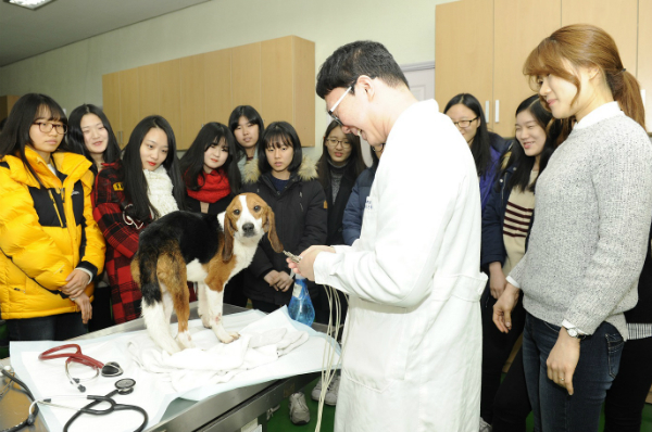 [2019 수시결산] 지방거점국립대 경쟁률, 지난해보다 하락