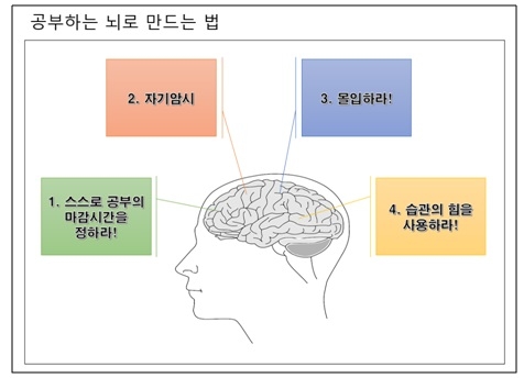 [공부재능 기르기] 집중력을 높이기 위해 해야하는 모든 것!