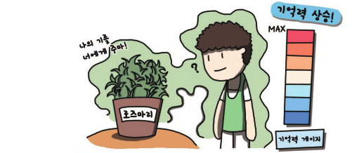 공부방 공기를 바꿔야 아이의 머리가 즐겁다