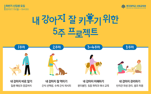 반려견 불리불안 대처 등 반려견주가 하지 말아야 하는 기본적인 것은?