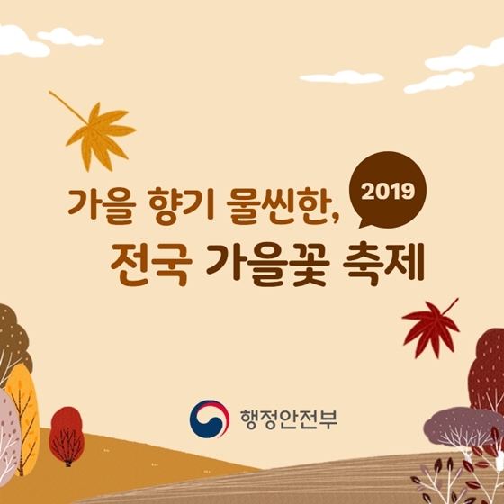 가을꽃 축제에서 인생샷 남겨볼까?