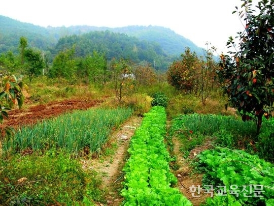 <詩 읽는 시간>복고풍의 가을 풍경, 현실이 상실한 미학