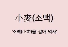 [전광진의 하루한자] 小麥(소맥)
