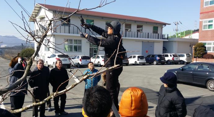 경남도농업기술원, 과수재배의 정지·전정기술 교육