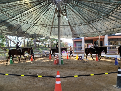 말산업 특구 이천시, 학생승마체험 학생 모집