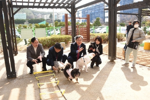 부산 남구, 반려견 놀이터 '동숲' 준공식 성료
